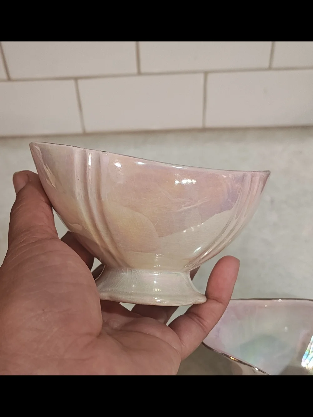 royal wilton elegant iridescent